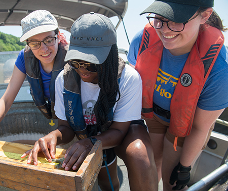 Students participating in SIUE and the U of I’s collaborative REU program assist with fish monitoring on the Mississippi River.